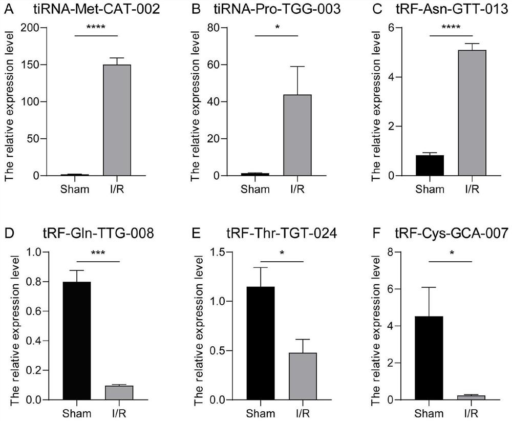 Screening method of tsRNA related to myocardial ischemia reperfusion