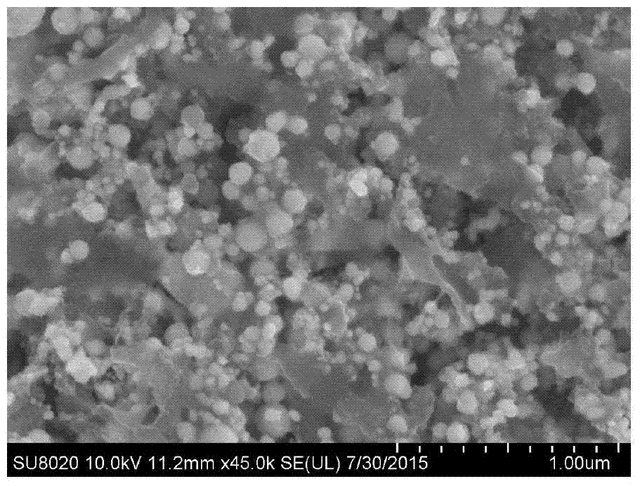 Oxyferric chloride microsheets loaded with noble metal nanoparticles and preparation method thereof