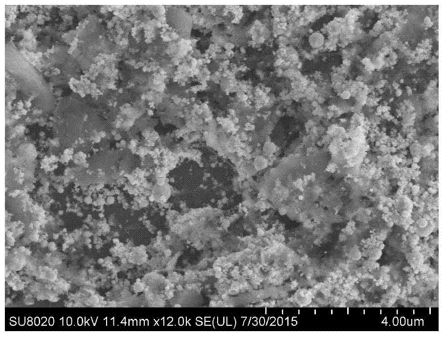 Oxyferric chloride microsheets loaded with noble metal nanoparticles and preparation method thereof