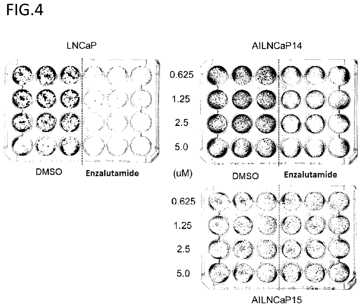 Cancer treatment pharmaceutical composition containing cdk inhibitor