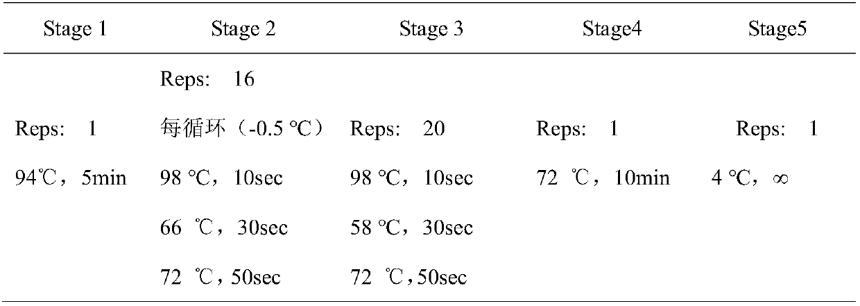 Primer, kit and method for detecting PIGA gene promoter region 4972A&gt;G mutation site