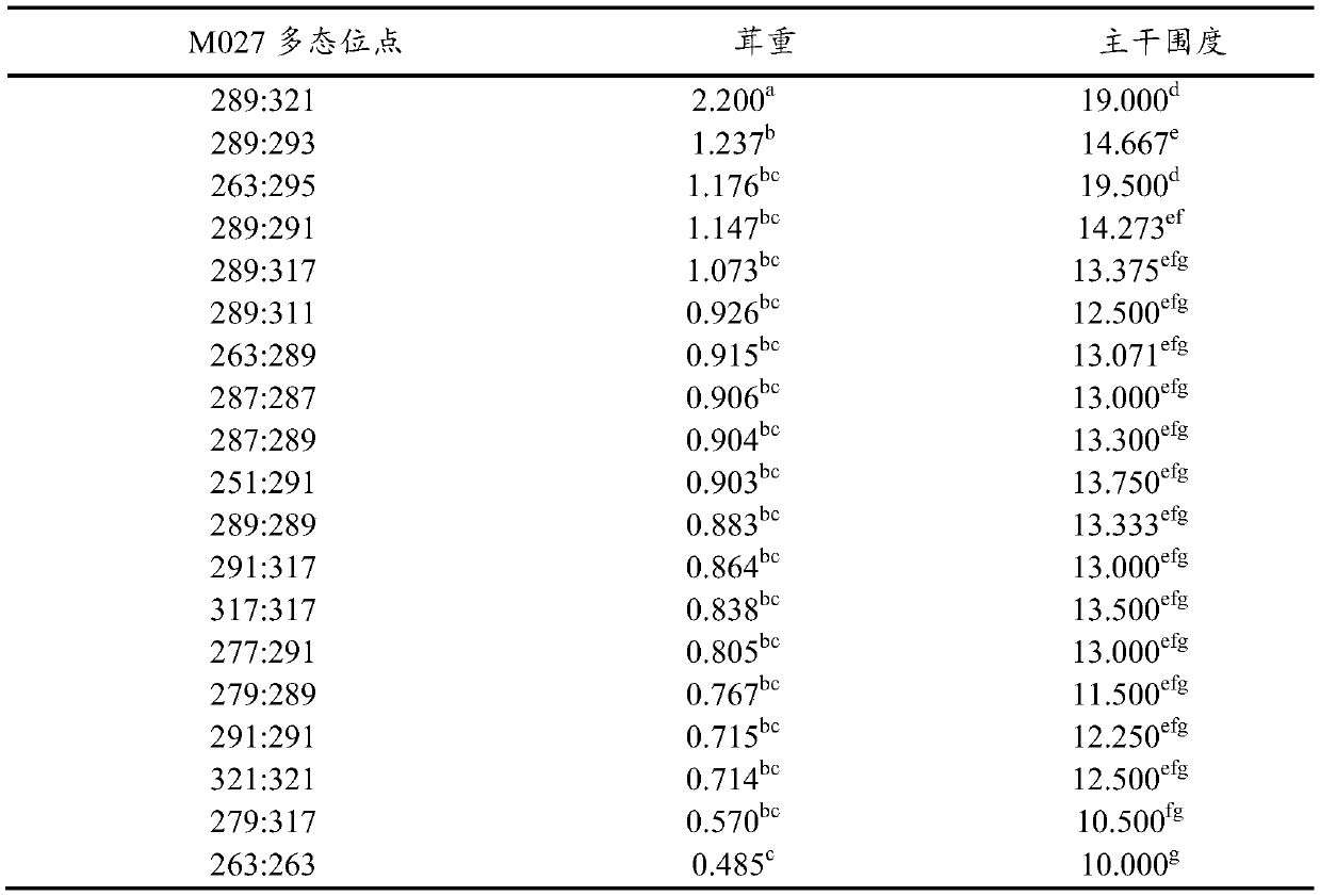Specific amplification primer of sika deer microsatellite site M027 and application of specific amplification primer