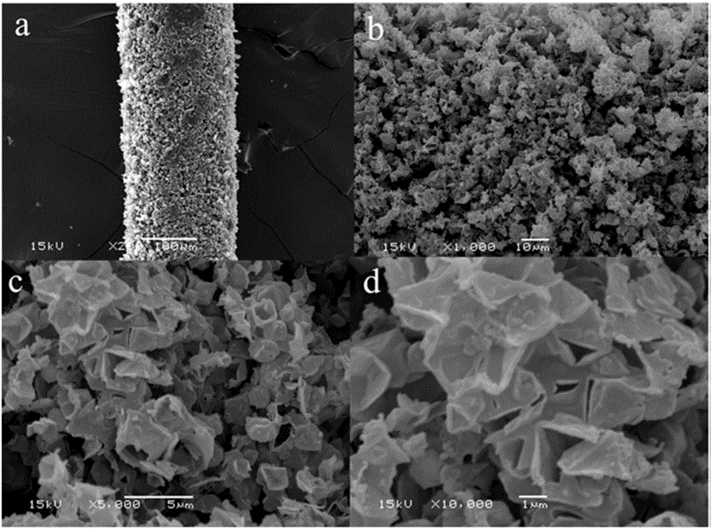 Porous carbon solid-phase micro-extraction coating and its preparation and application