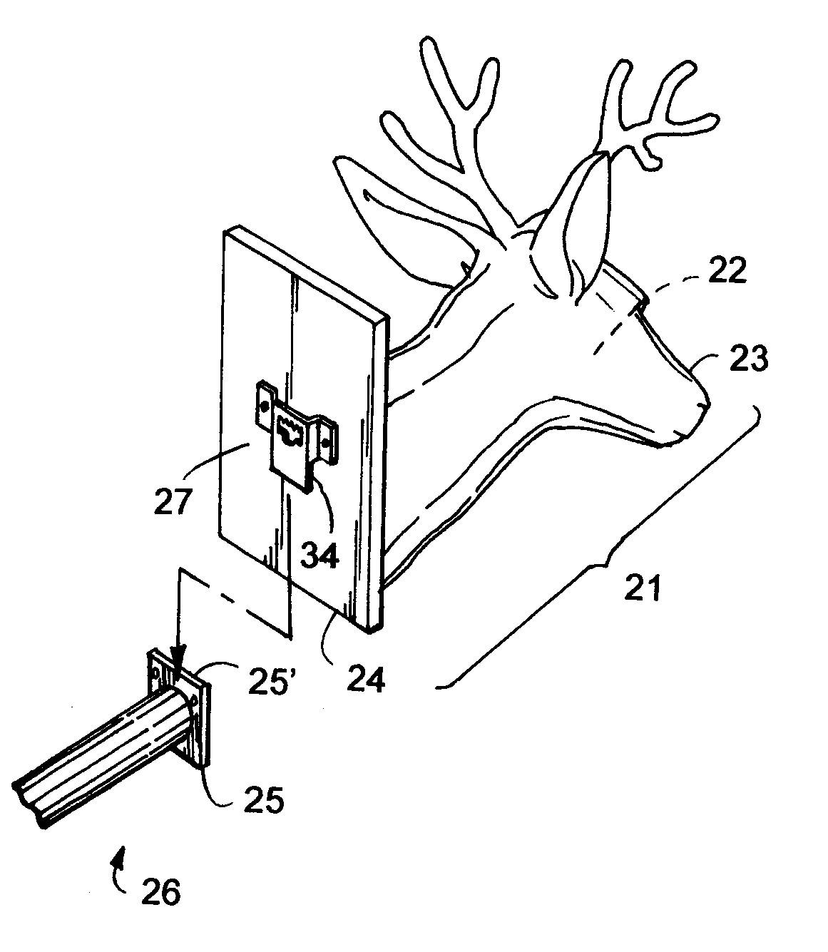 Taxidermy hanger system and method