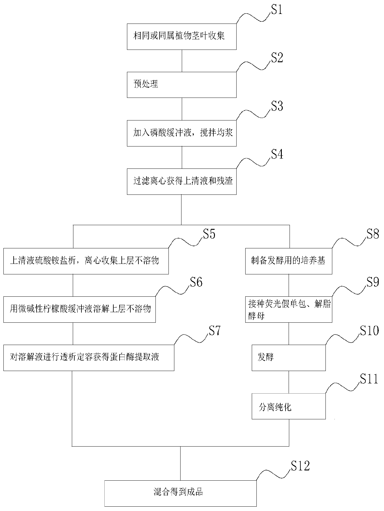 Method for producing protease for promoting growth of plant roots and fruits