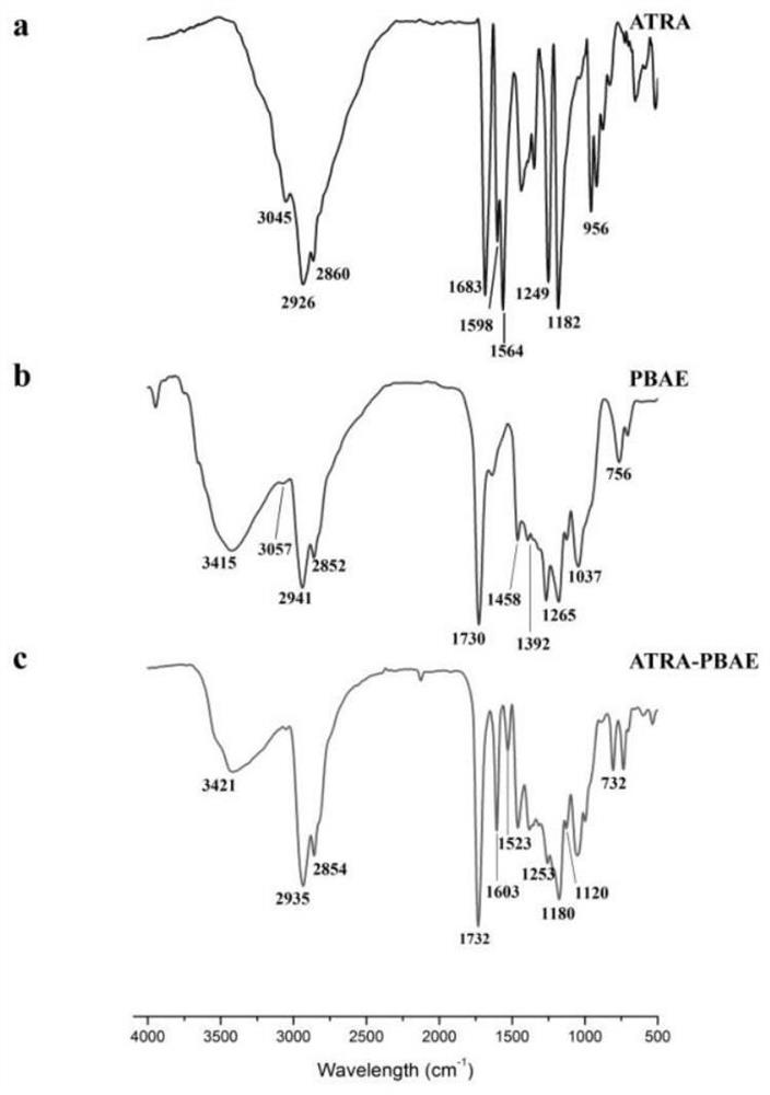 ATRA-PBAE prodrug copolymer as well as preparation method and application thereof