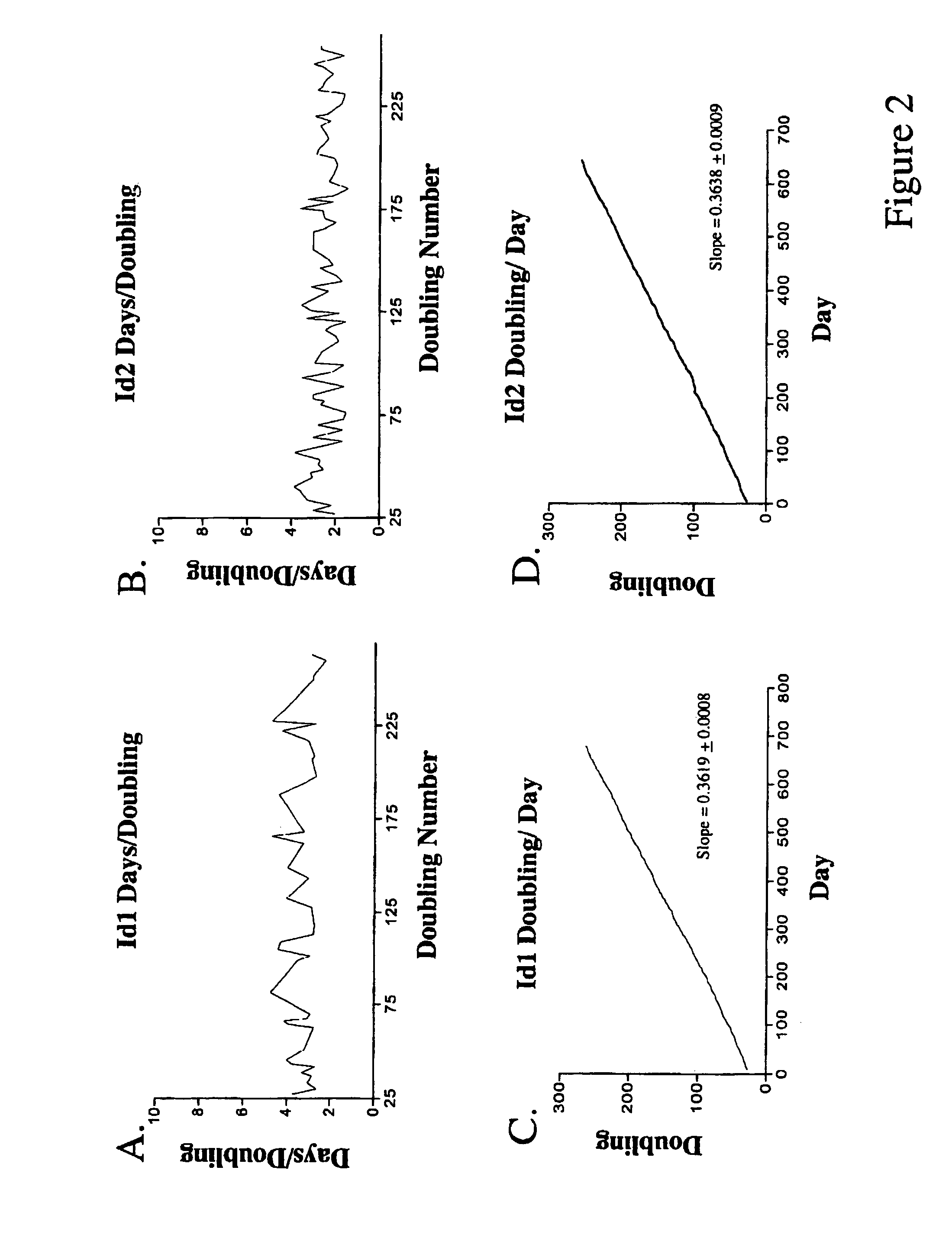 Modified cells expressing a protein that modulates activity of bHLH proteins, and uses thereof