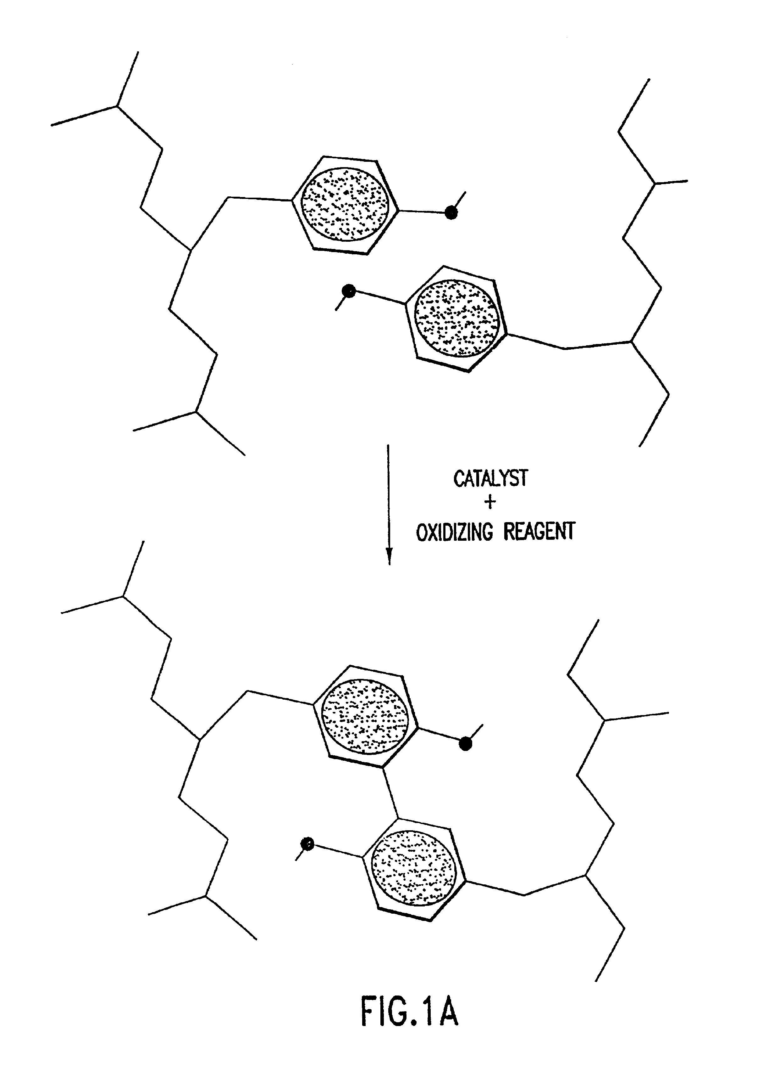 Stabilized proteins