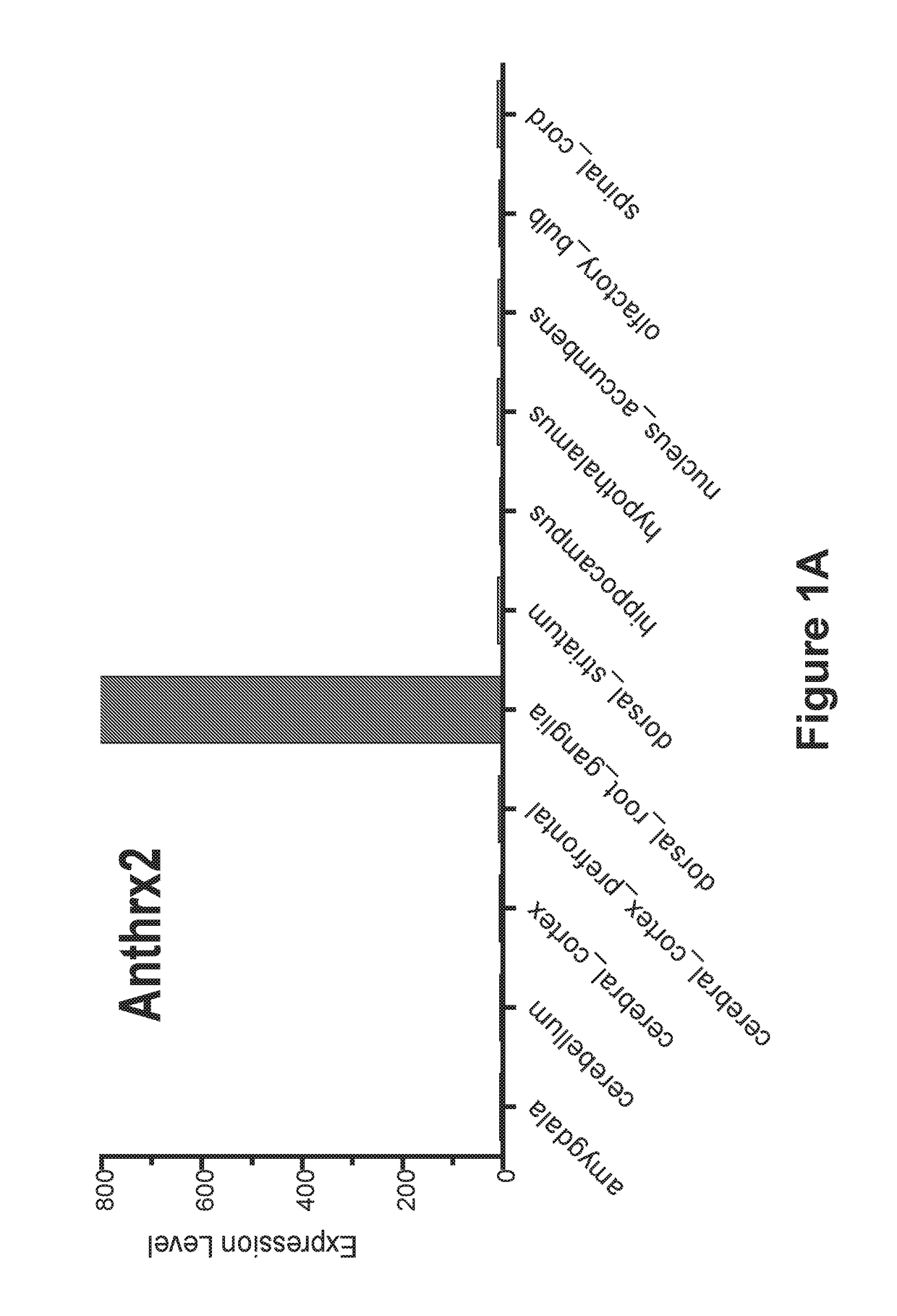 Compositions and methods for treatment of pain