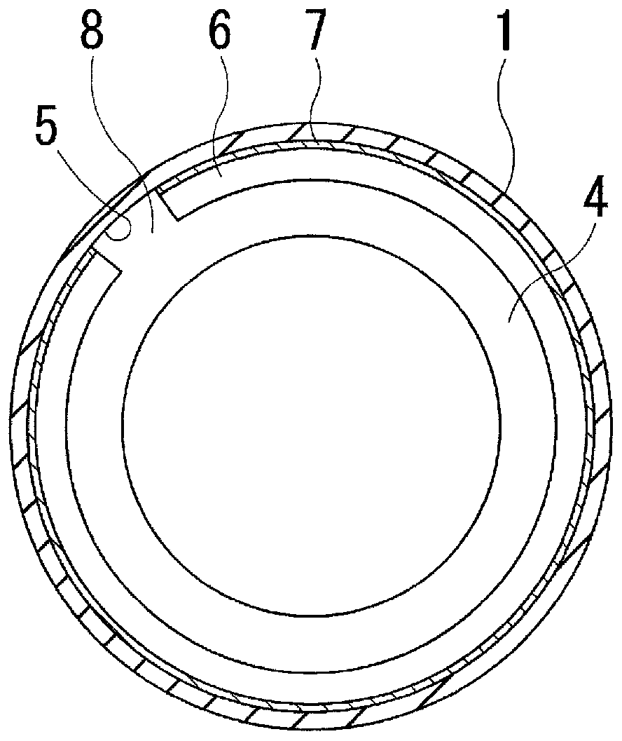 Pneumatic tire and method for manufacturing same