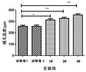 Magnesium-containing water-soluble omega-3 fatty acid