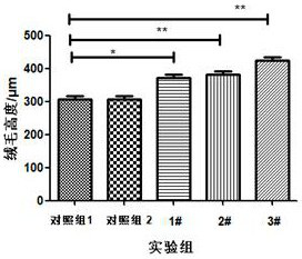 Magnesium-containing water-soluble omega-3 fatty acid