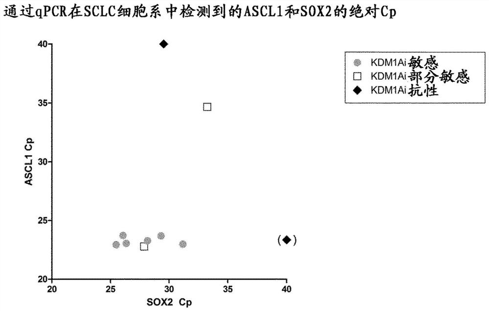 Biomarkers and methods for individualized treatment of small cell lung cancer using KDM1A inhibitors