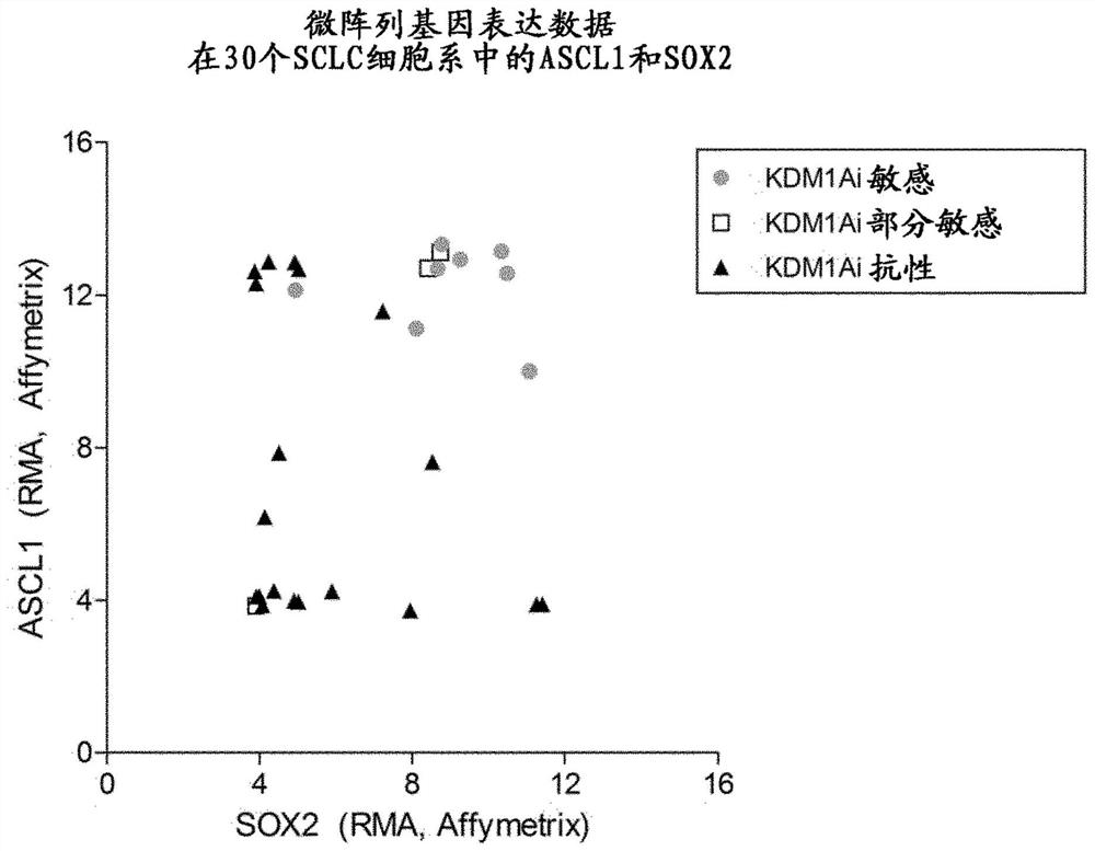 Biomarkers and methods for individualized treatment of small cell lung cancer using KDM1A inhibitors