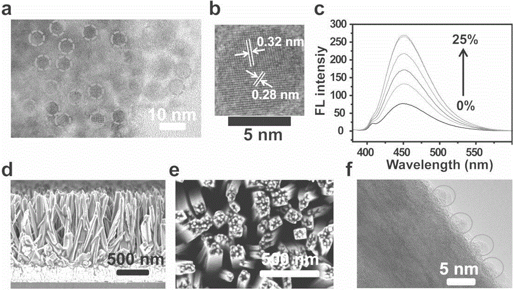 Carbon quantum dot-nanowire array-based cardiomyocyte signal molecule sensor and preparation method thereof