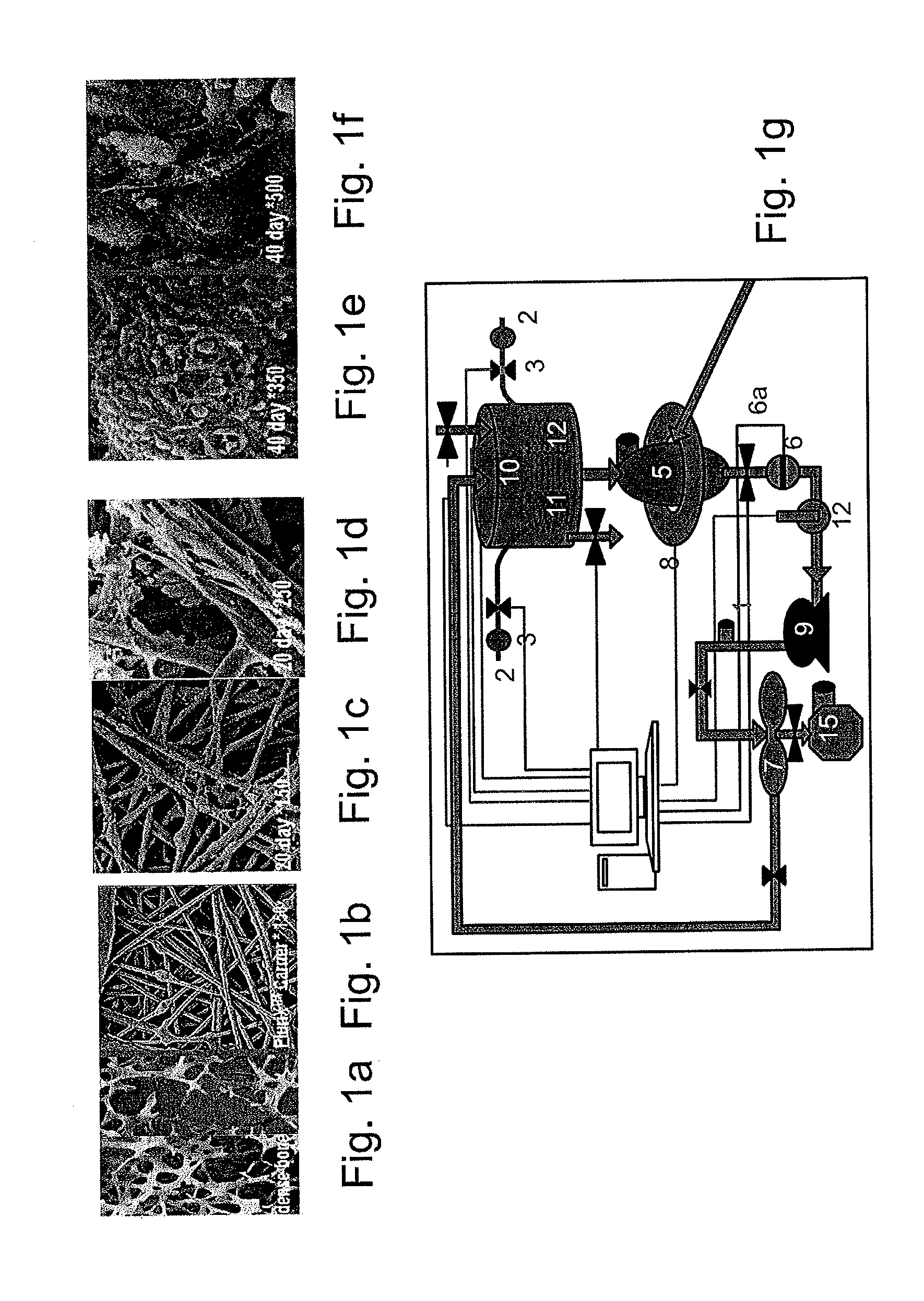 Methods for treating radiation or chemical injury