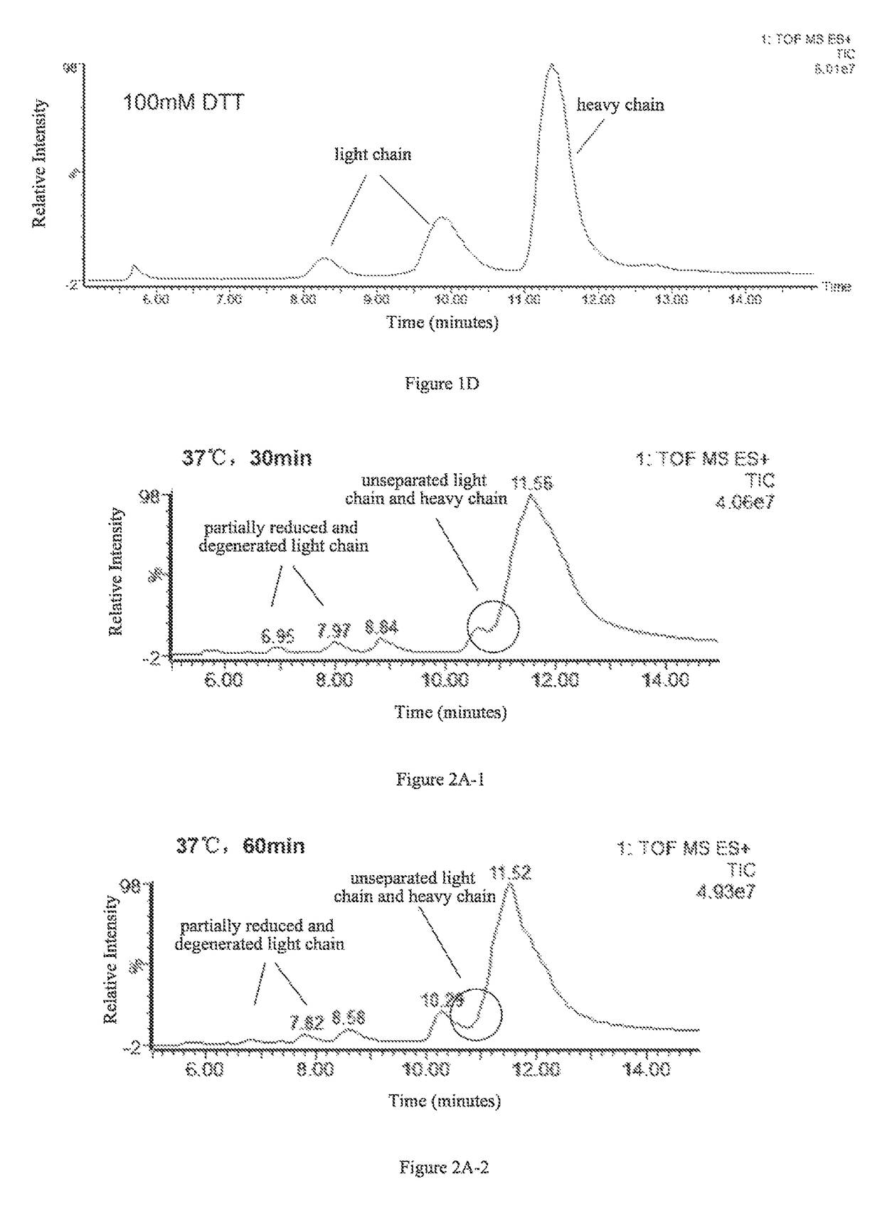 Method for determining glycosylation and terminal modification of samples during protein purification process