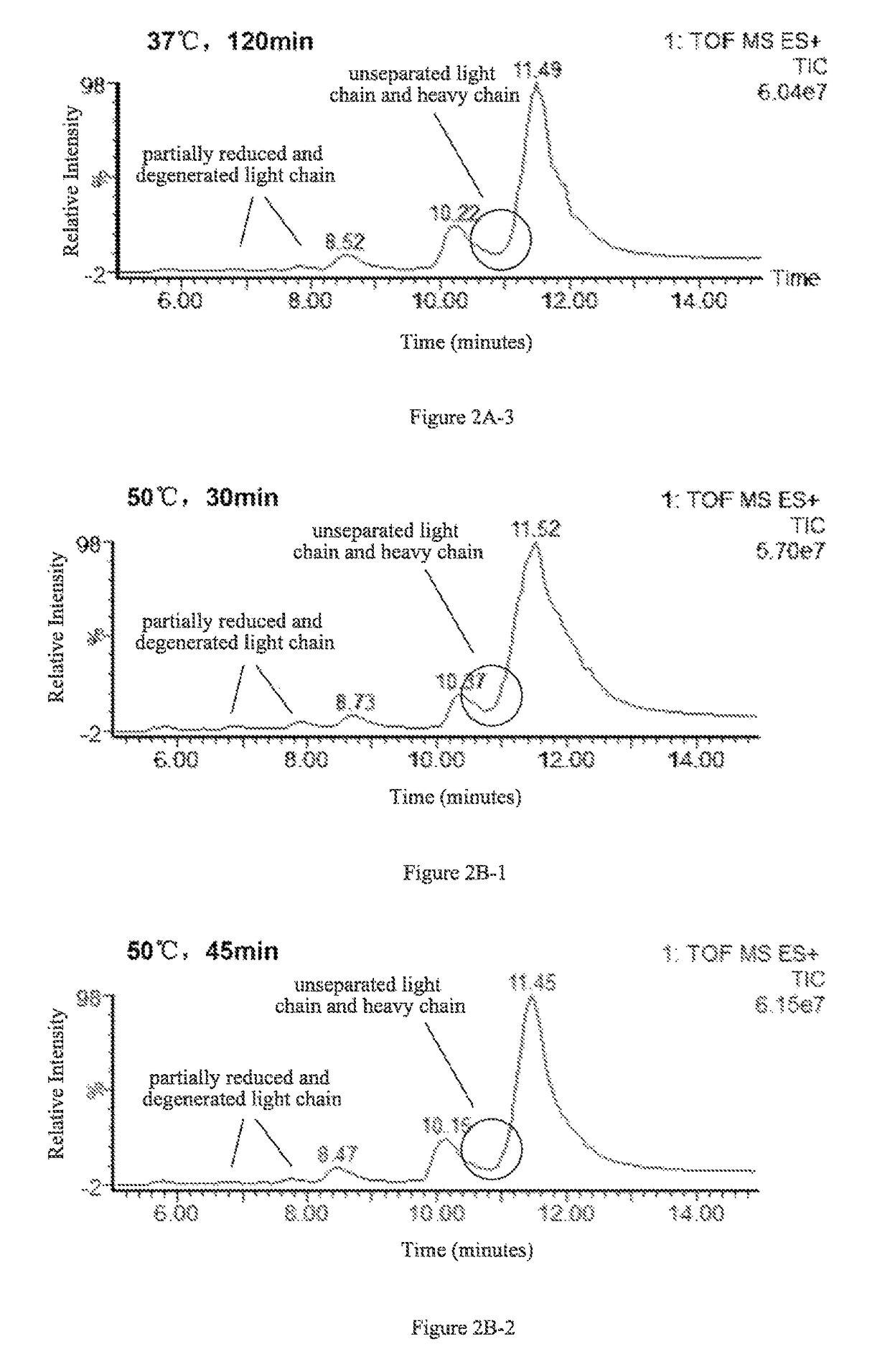 Method for determining glycosylation and terminal modification of samples during protein purification process