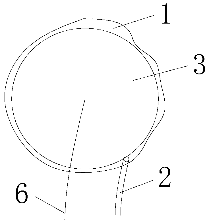 Gasbag-based micro vibration monitoring sensor mounting device and method