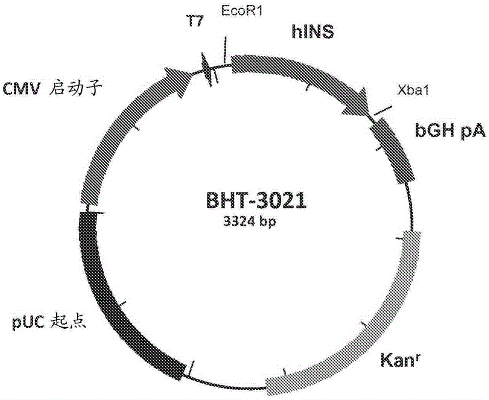 Compositions and methods for treatment of type 1 diabetes