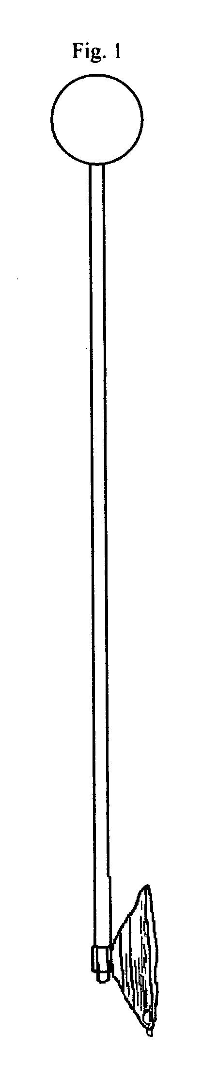 Parallel parking apparatus/vehicle perimeter marking system