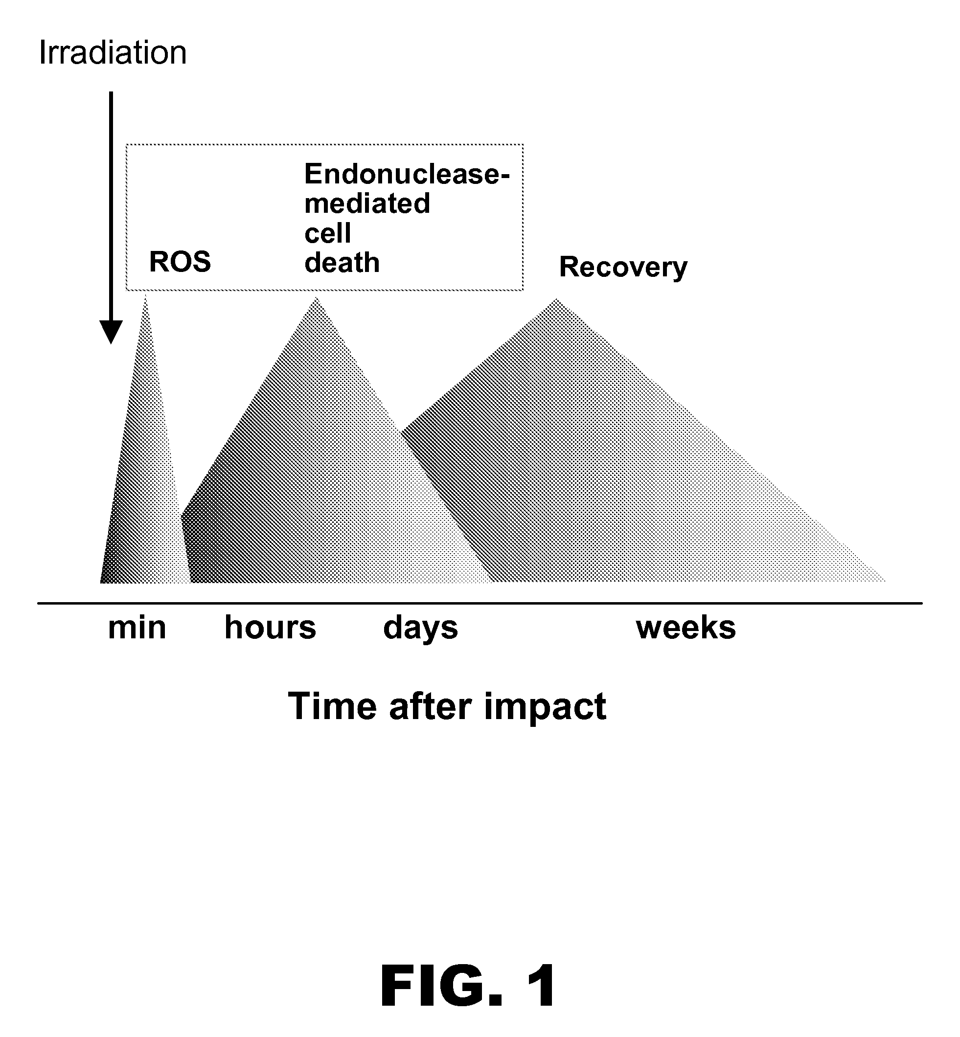 Compositions and methods for cytoprotection