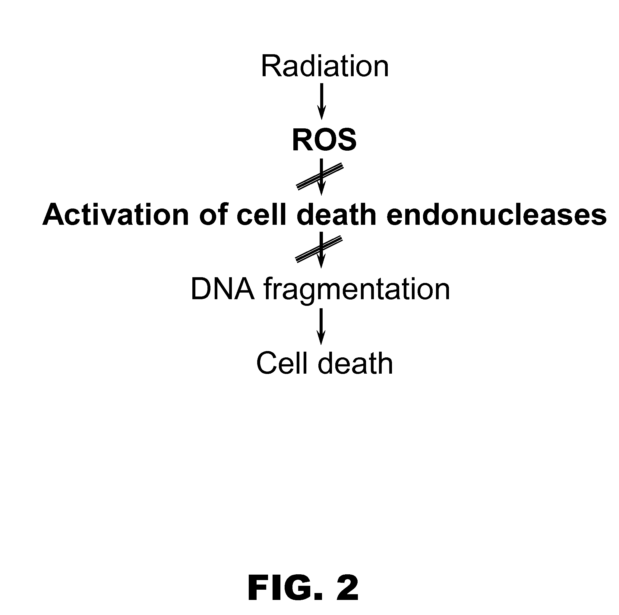Compositions and methods for cytoprotection