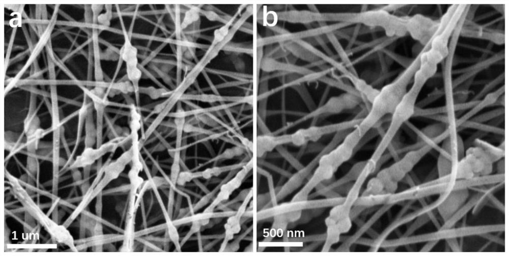 Preparation method of defective nanofiber carbon carrier coupled iron monatomic catalyst