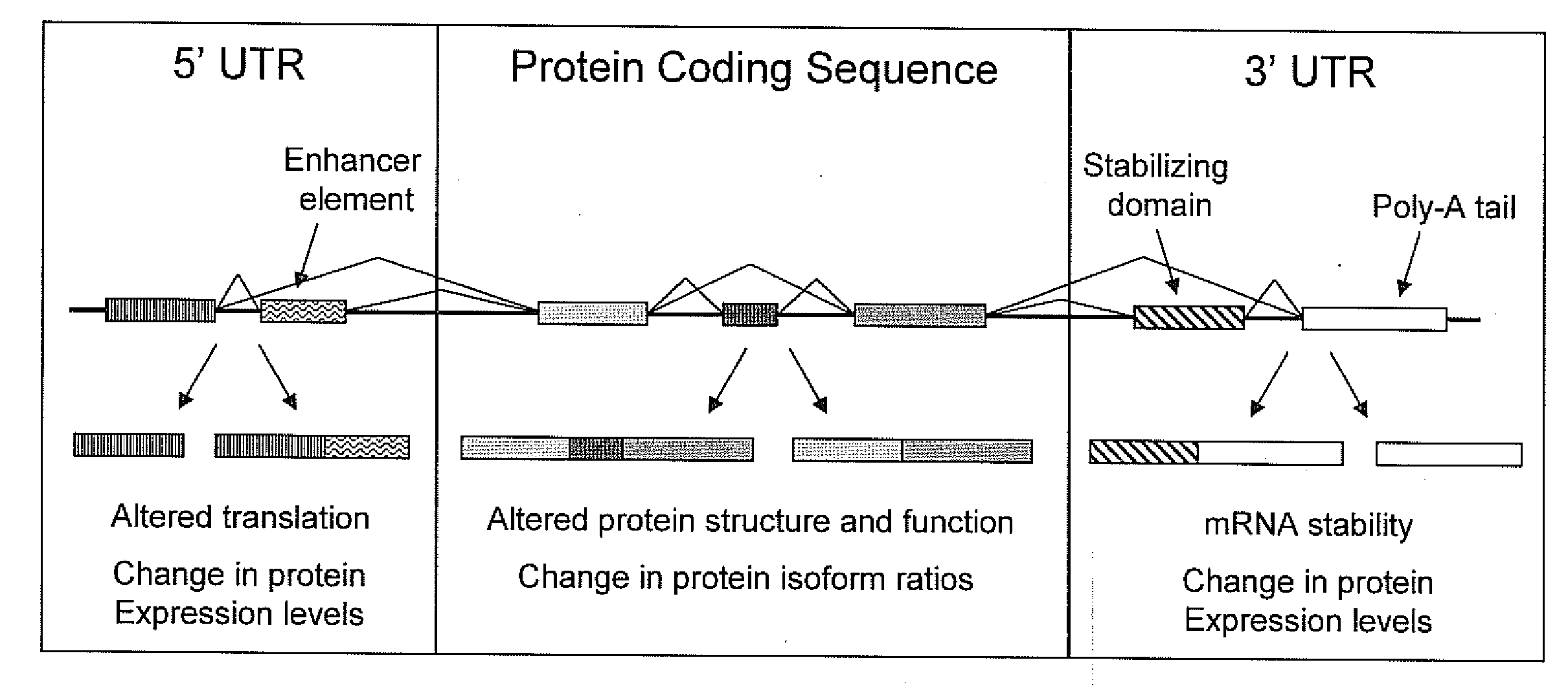 Real-time sequencing methods and systems