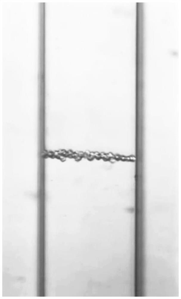 Blood brain barrier in-vitro model and preparation method thereof