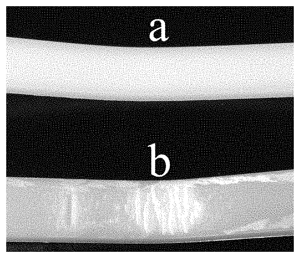 Biocarbon and nylon based hybrid carbonaceous biocomposites and methods of making those and using thereof