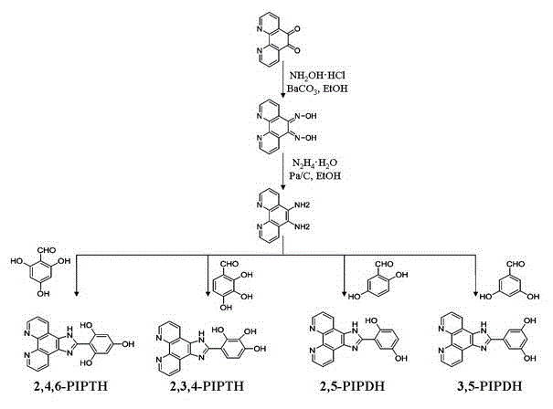 Ruthenium complexes, preparation method thereof and application