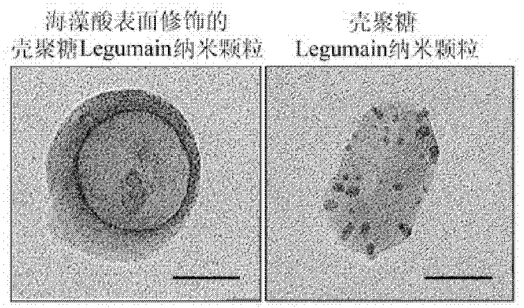 Antiacid nano oral deoxyribonucleic acid (DNA) anti-tumor vaccine with potential of hydrogen (pH) sensitive characteristic and preparation method