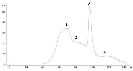 Horse milk-derived small molecule peptide and application thereof