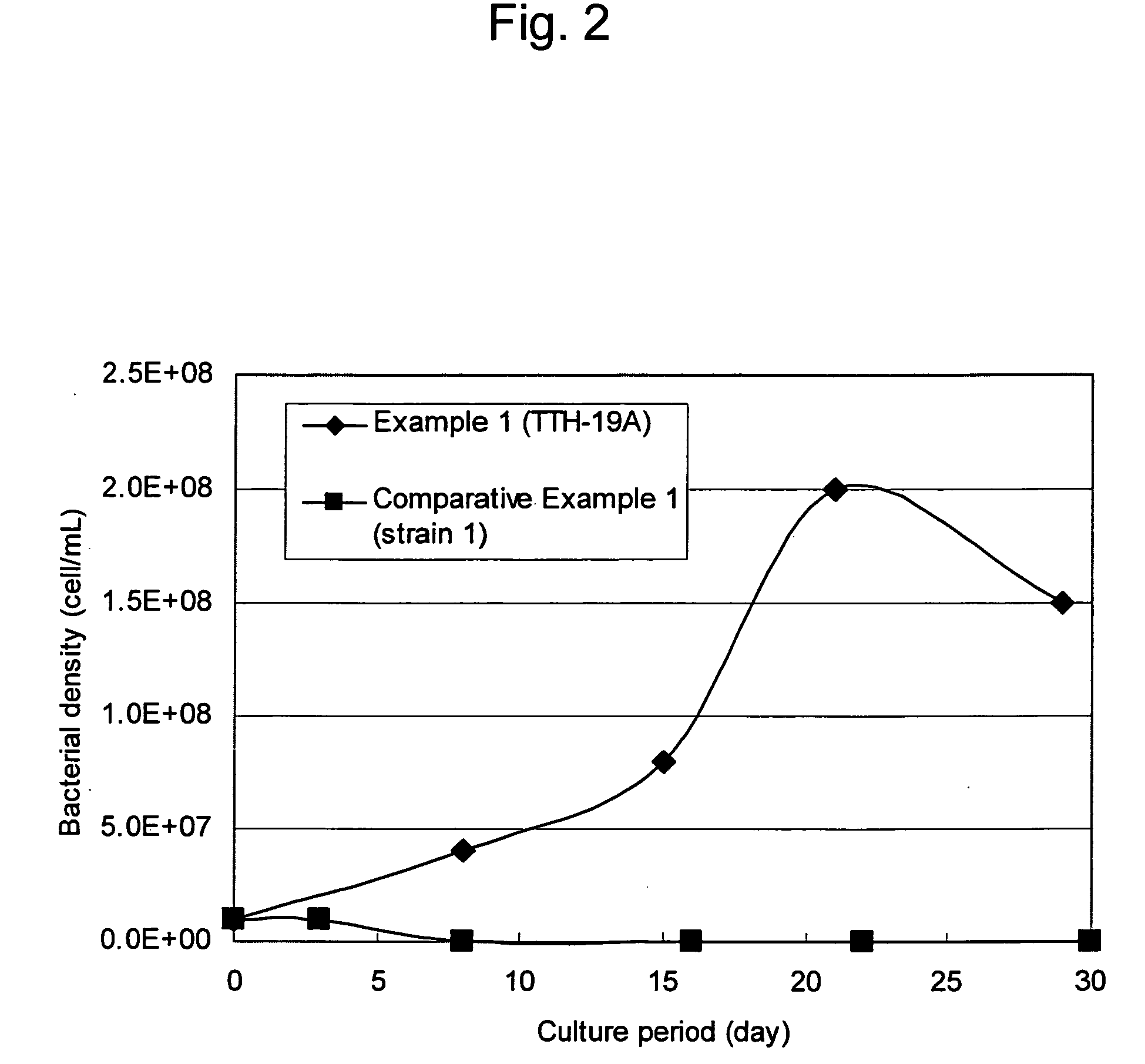 Chloride ion-resistant sulfur-oxidizing bacteria
