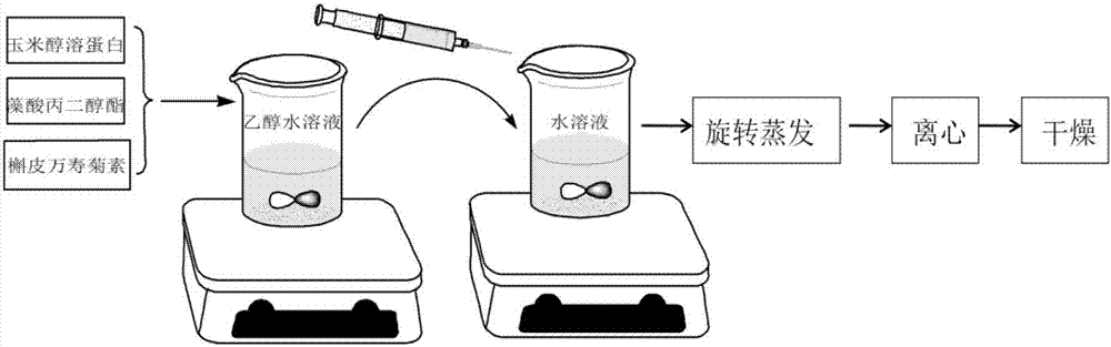 Preparation method of biomacromolecule compound stable quercetagetin