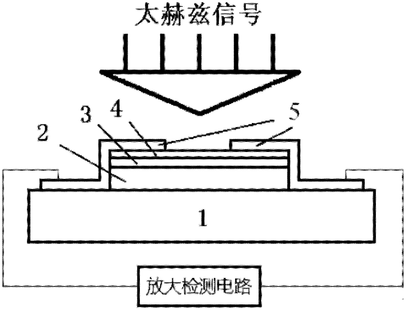 Antenna-coupled tellurium-cadmium-mercury terahertz detector