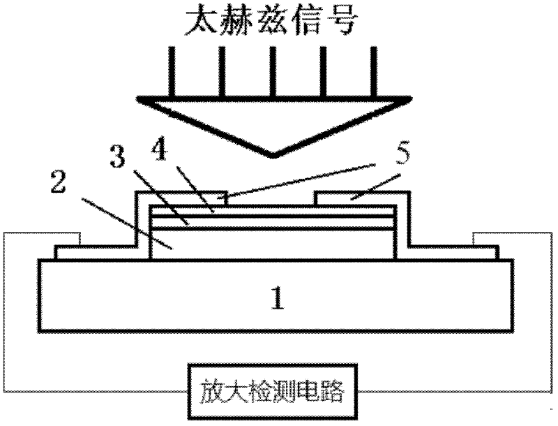 Antenna-coupled tellurium-cadmium-mercury terahertz detector