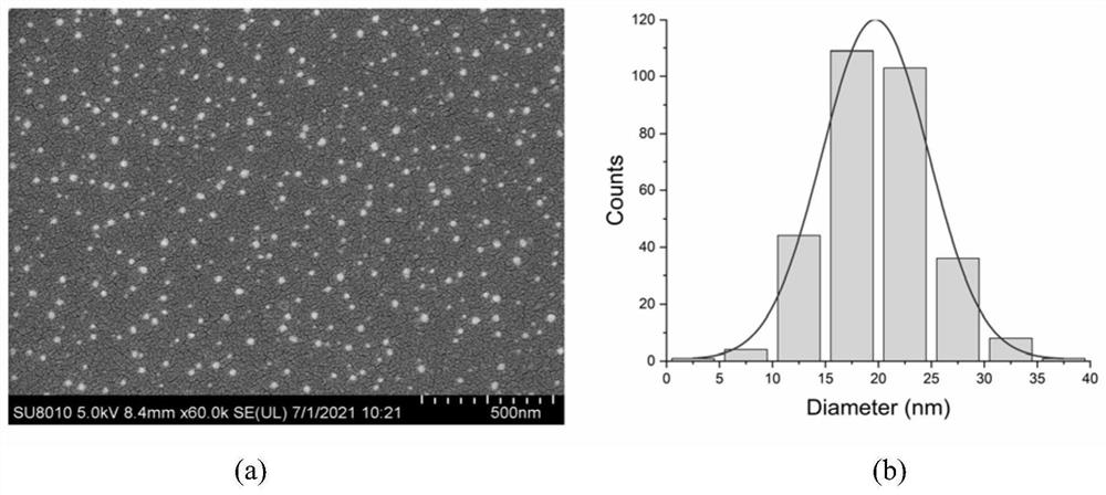 Self-assembled dendritic antibacterial peptide Pal3RP, preparation method thereof, self-assembled nano-particles thereof and application of self-assembled dendritic antibacterial peptide Pal3RP and self-assembled nano-particles thereof
