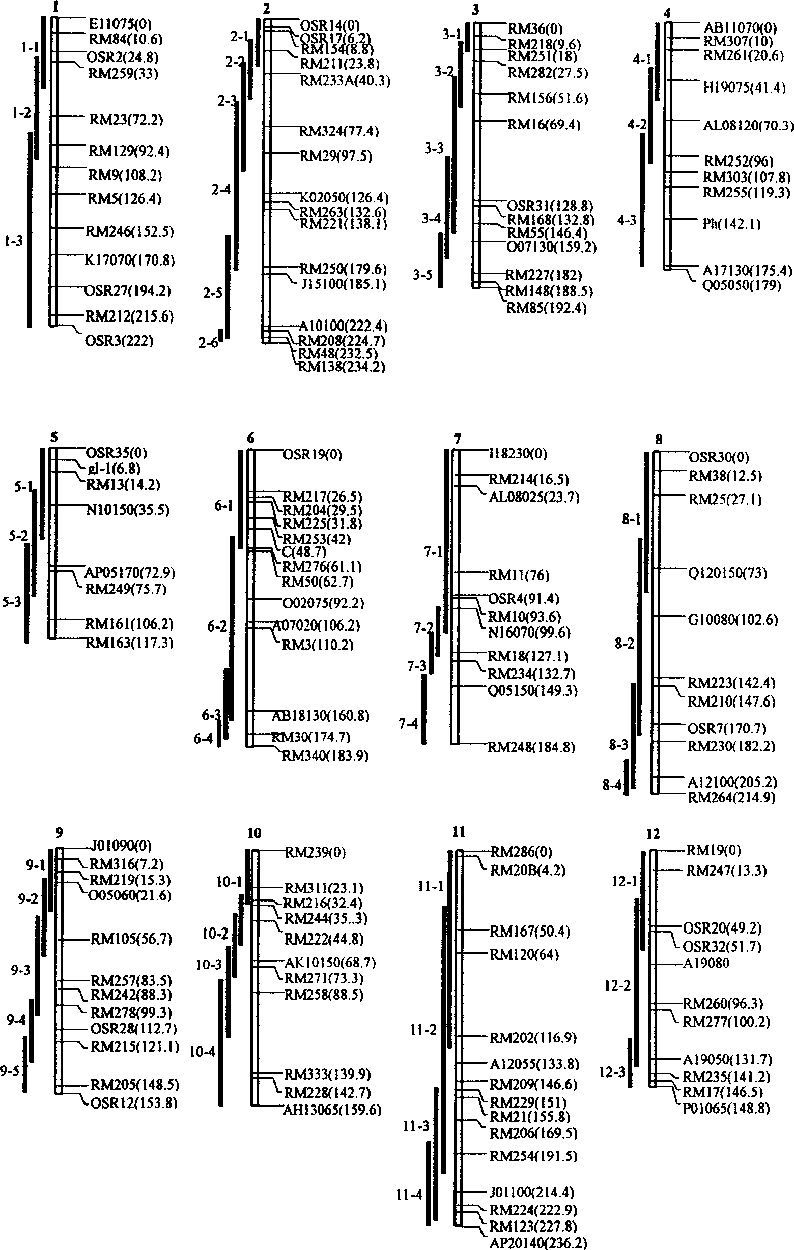 Construction process of rice genetic test material