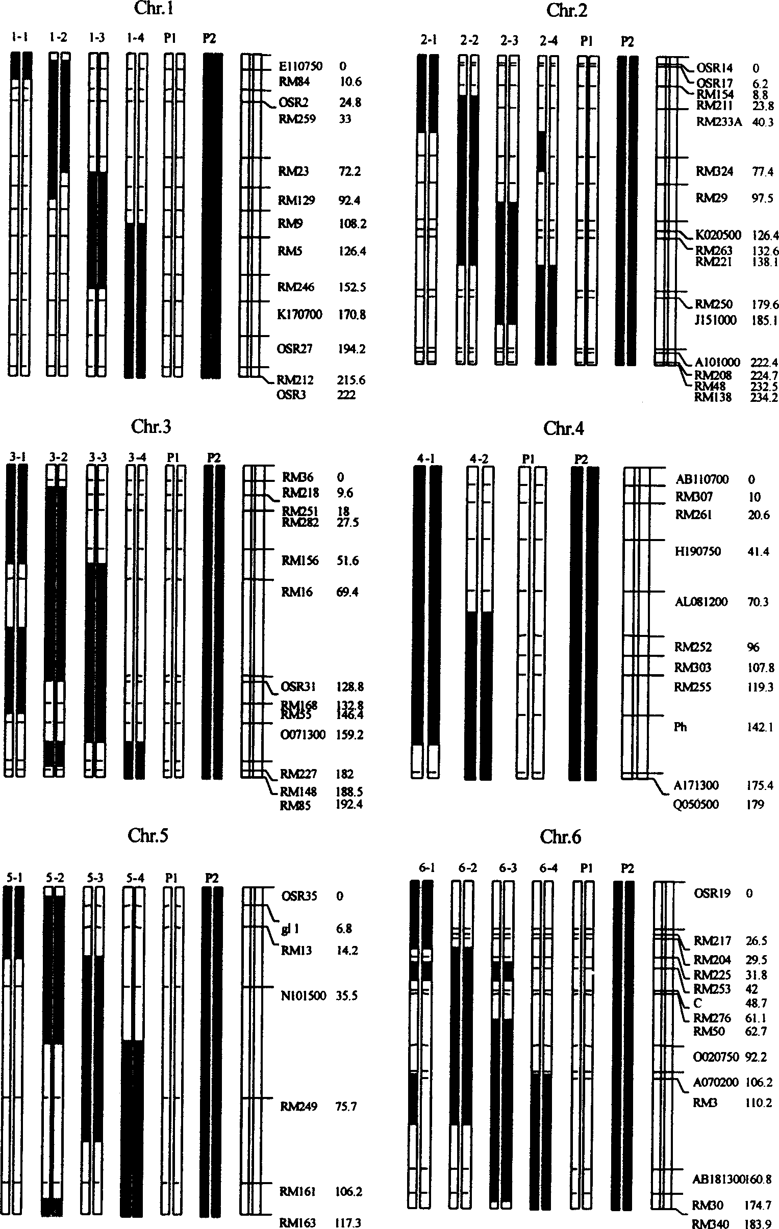 Construction process of rice genetic test material