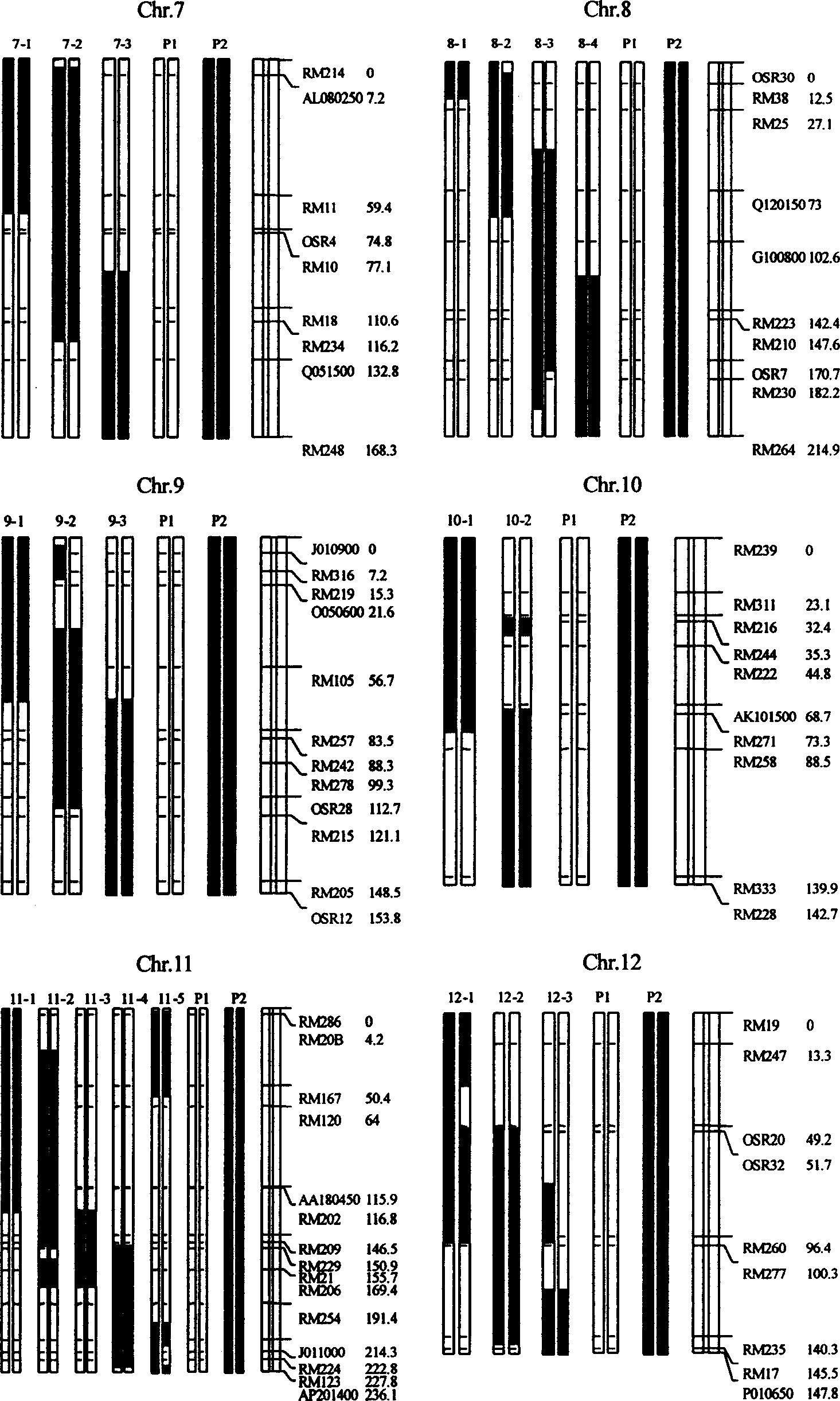 Construction process of rice genetic test material