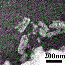 A kind of preparation method of carbon nitride nanotube