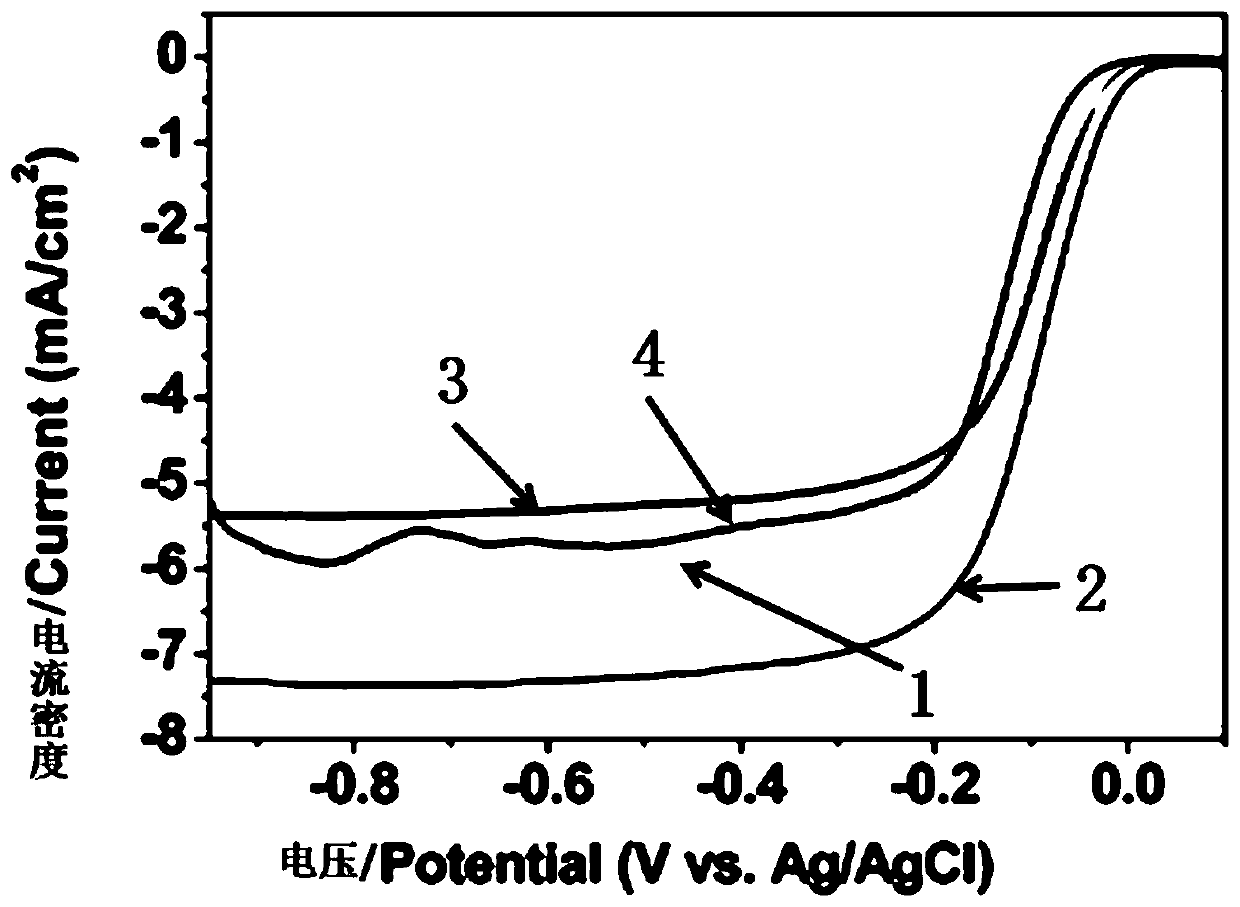 Nanocarbon material, preparation method thereof, and application of nanocarbon material to fuel cells