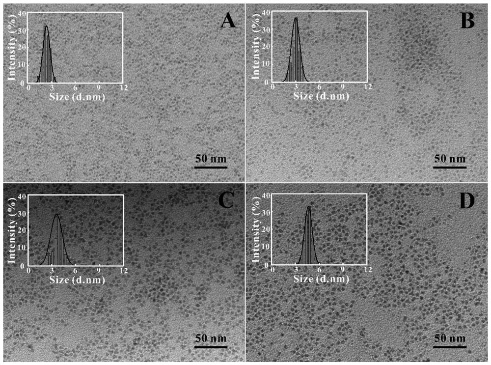 A kind of nanometer fluorescent probe solution and application of hepatic cell labeling below freezing point