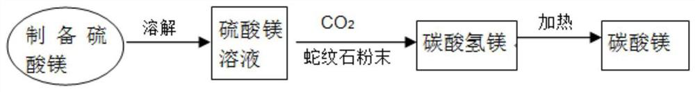 Use of magnesium resources in serpentine to co  <sub>2</sub> Methods for Mineralized Storage