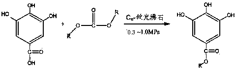 Method for synthesizing methyl (ethyl) gallate through catalysis of Cu-mordenite
