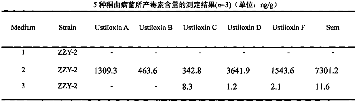 A kind of method that green Sclerotinia oryzae produces five kinds of rice koji toxins