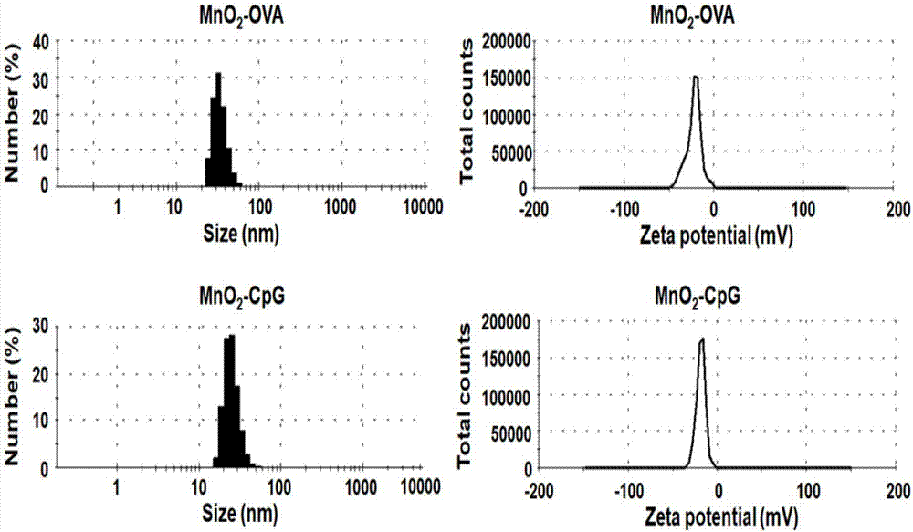 Manganese dioxide nanometer adjuvant and preparation method and application thereof