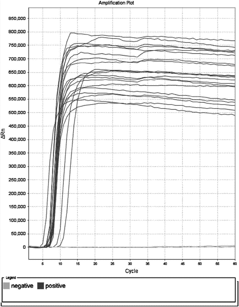 LAMP primer group for detecting enterobacter aerogenes, kit and rapid detection method